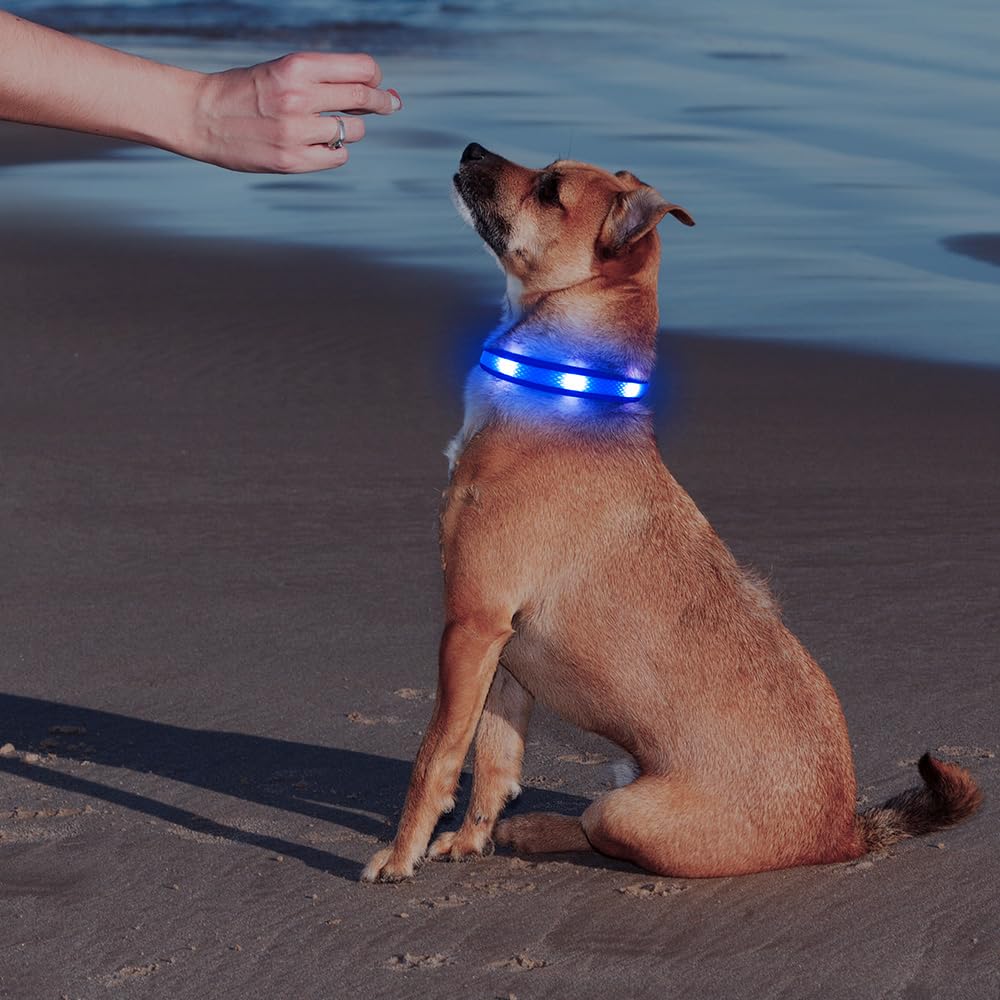 Illumifun LED Dog Collar, USB Rechargeable Light Up Collar Glow in The Dark, Reflcetive Safery Pet Light for Large Dogs Walking at Night (Large, Light Blue)