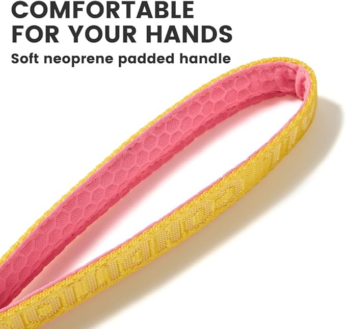 HOWGO Short Dog Leash - Aviation Aluminum Hook Lightweight Padded Handles Rope Traffic Leashes for Large Dogs,No Tangle Dog Leash Coupler,Black