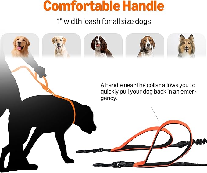 Amazon Basics Hands Free Dog Leash with Running Bag, Adjustable Waist Belt, Dual Padded Handles, Reflective Bungee Leash for Walking, Jogging, Hiking, Fits Small to Large Dogs (Up to 150 lbs)