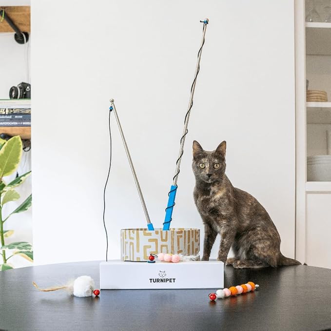 Magnetic Catch Wand (Compact 24") Cat Toy – Interactive Telescoping Wand for Indoor Cats and Kittens, Magnetic Easy Catch & Release, Durable Enrichment Toy with 3 Lures