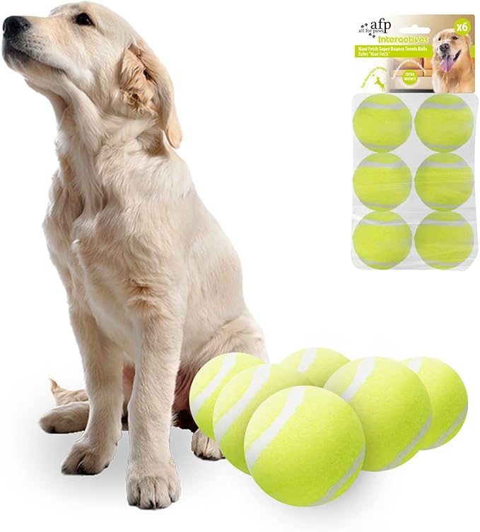 ALL FOR PAWS Interactive Dogs Ball Toy, 2.5" Dog Safety Fetch Balls Toy with High Bounce, Exercise and Play Dogs Tennis Balls Suitable for Ball Launchers