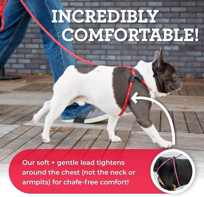 Harness Lead No Pull Dog Harness and Leash Set, Anti Pull Dog Harness, One-Piece Cushioned Rope Safely Prevents Escaping and Pulling *New Insert is Removable (Extra Large, Black Reflective)