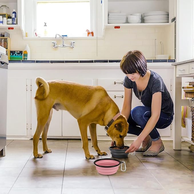 Kytely Large Collapsible Dog Bowls 2 Pack, 34oz Foldable Dog Travel Bowl, Portable Pet Water Food Bowl with Clasp, Pet Cat Feeding Cup Dish for Traveling, Walking, Hiking (Pink+Grey)