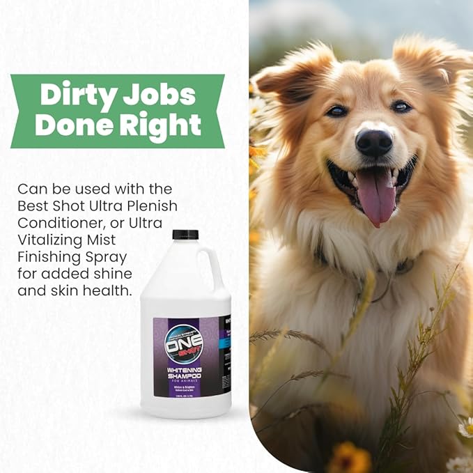 Best Shot One Shot Whitening Shampoo, Coat and Skincare Product for Dog, Cat, and Horse, Brightens Any Color Coat, Removes Stains, 1 Gallon