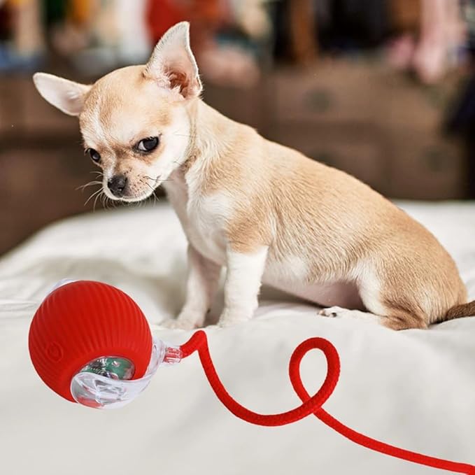 Dog/Cat Automatic Ball - Activated Automatic Moving Toy, Rechargeable, Self Play, Ball Toy with Long Tail Teaser