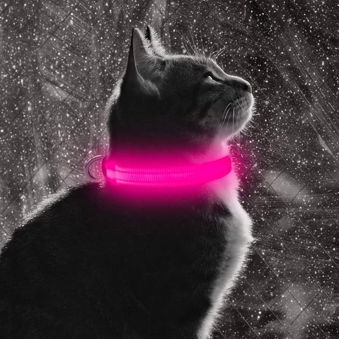 BSEEN Light Up Dog Collar - Reflective LED Dog Collar Rechargeable Glowing Pet Collar for Puppies & Cats, Safety Dog Lights for Night Walking (Pink)