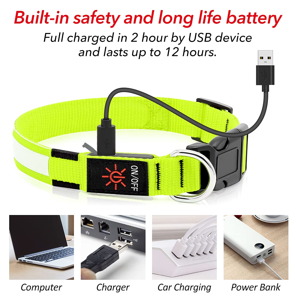 BSEEN Light Up Dog Collar, Rechargeable LED Dog Collar Reflective Pet Glow Collar Dog Lights for Night Walking (Neon Green, Medium)