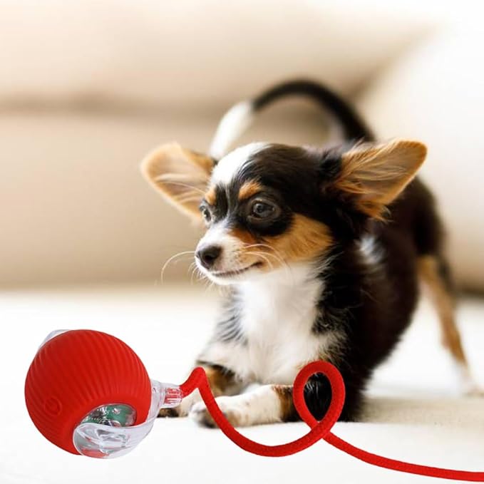 Dog/Cat Automatic Ball - Activated Automatic Moving Toy, Rechargeable, Self Play, Ball Toy with Long Tail Teaser