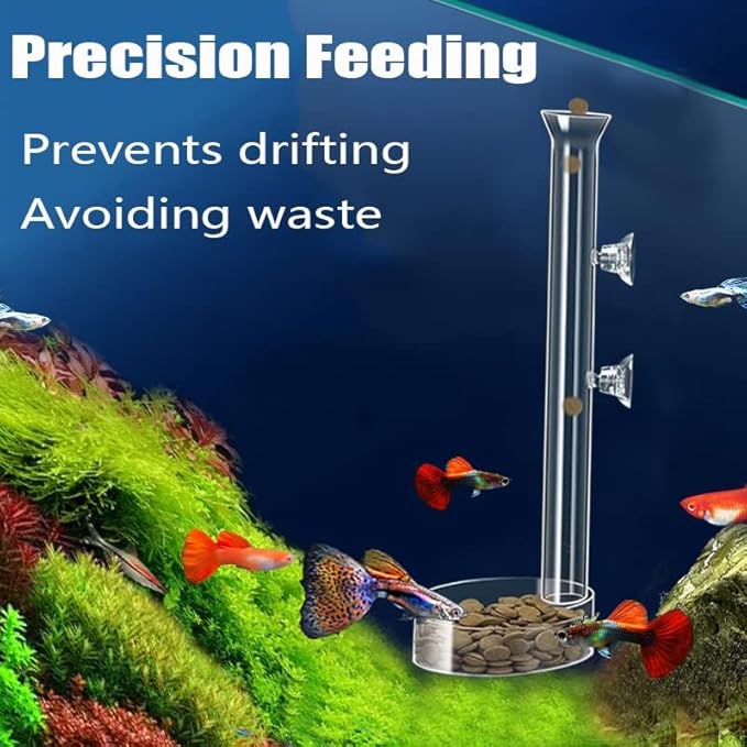 Fish Feeding Ring, Shrimp Feeding Dish, and Feed Measuring Spoon - Ideal Betta Fish Toys and Aquarium Feeding Accessories with Coral Feeder and Shrimp Feeding Tube