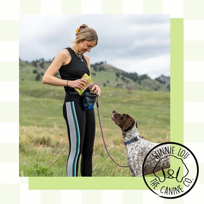 Freeze Dried Bison Liver Tidbits - Single Ingredient, Human-Grade, No Artificial Flavors or Fillers, Perfect for Training (Pack of 1)