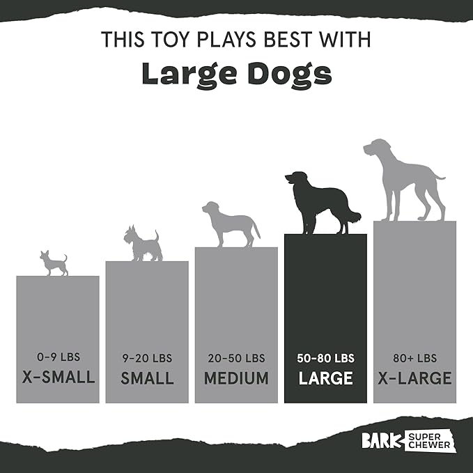 Barkbox Crinkle Fry Dog Toy for Large Dogs, Super Tough Nylon Construction for Aggressive Chewers and Designed for Durable Playtime