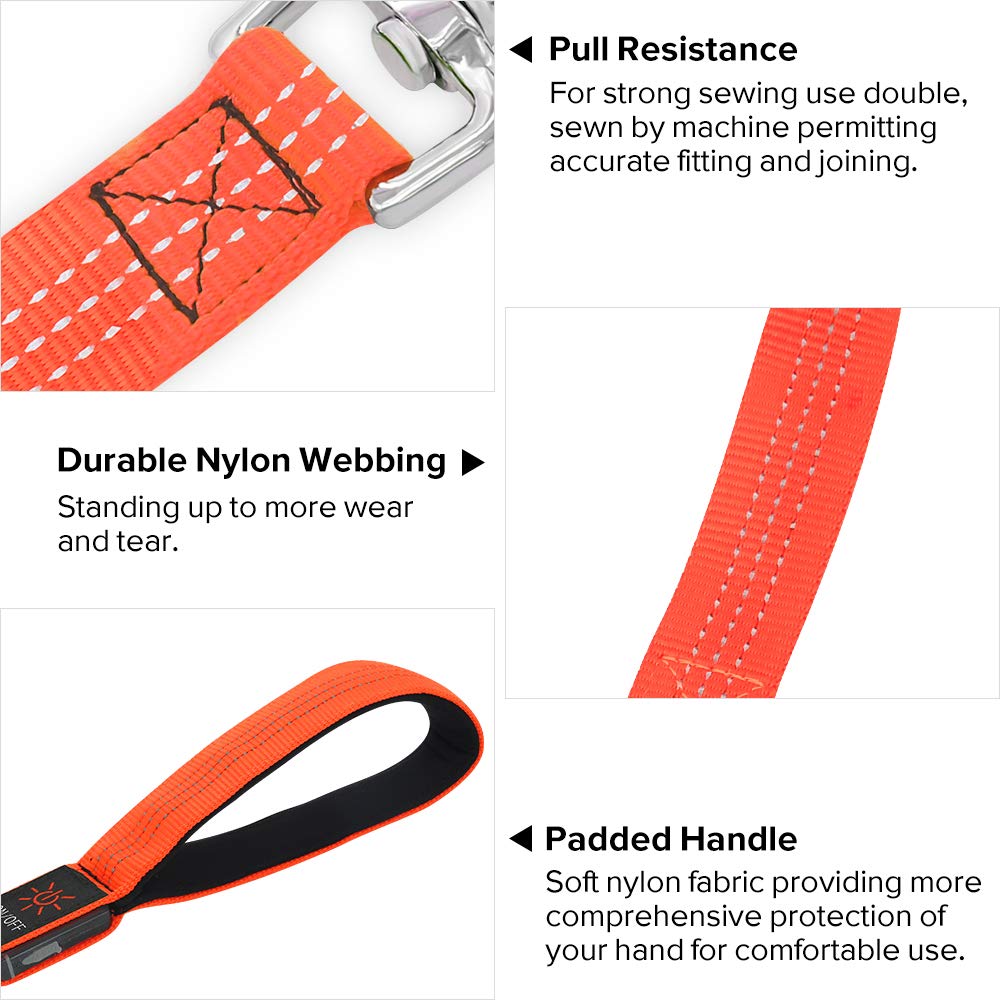 BSEEN LED Dog Leash, Reflective Light Up Dog Leash Rechargeable Glowing Pet Lead Safety Dog Lights for Night Walking (4 Ft, Reflective Orange)