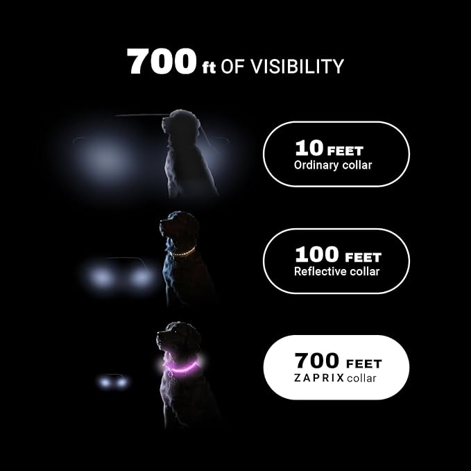 LED Dog Collar - Bright Premium Weatherproof Light Up Collar for Pet Safety, USB C Rechargeable & Adjustable for Small, Medium & Large Dogs (Multicolor, Medium)