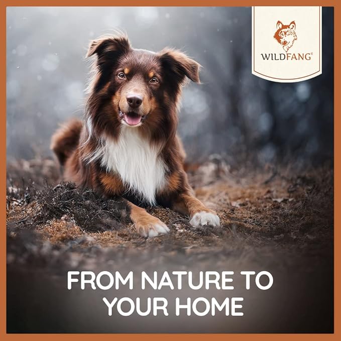 Wildfang® Olive Wood Chewing Sticks for Dogs, Large - Tough Chew Toys for Aggressive Chewers, Puppy Chew Toys for Teething, Training for Chewing Muscles, Olive Wood Stick for Dog (Under 33lbs)