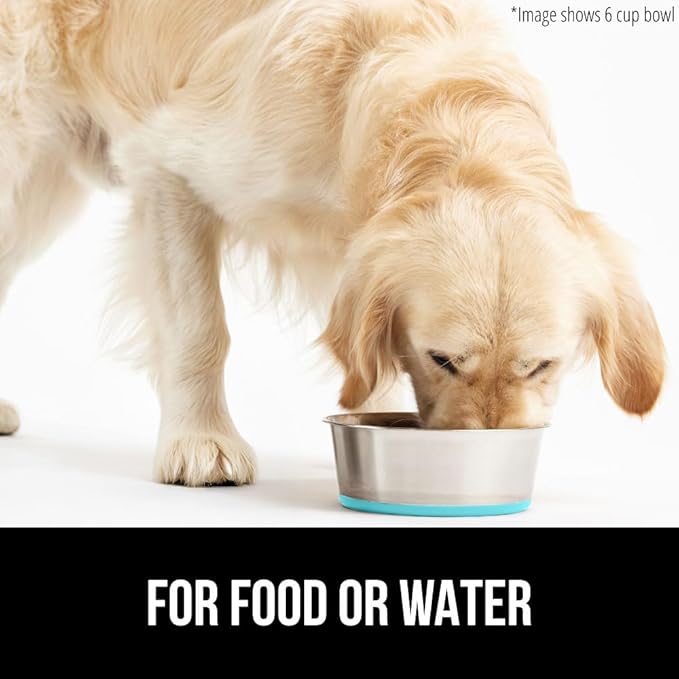 GORILLA GRIP Stainless Steel Metal Dog Bowl, Rubber Base, Heavy Duty Feeding Dish, Food Grade BPA Free, Less Sliding on Floors, Quiet Pet Bowl for Cats and Dogs, Holds 2 Cups (16 fl oz), Turquoise