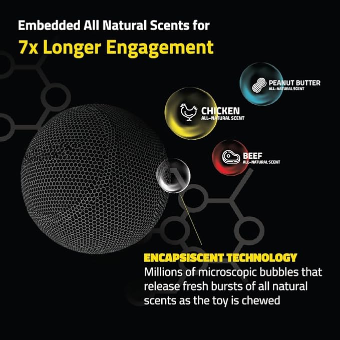 Playology Squeaky Dog Toy | Durable Rubber Interactive Dog Ball | Chicken Scented Fetch Ball for Medium Dogs, Value 2-Pack | Floating Dog Toy Made from Non Toxic Materials