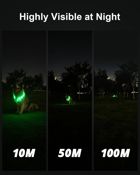 Joytale Light Up Dog Collar, Rainproof and Rechargeable LED, 9 Flashing Modes, Glow for Night Walking, Cuttable Soft Silicone Collar for Large Medium Small Dogs, 27.5 Inch
