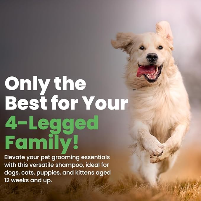 Best Shot Scentament Spa Caressing Body Wash, Fresh Apple Lily, 16 oz