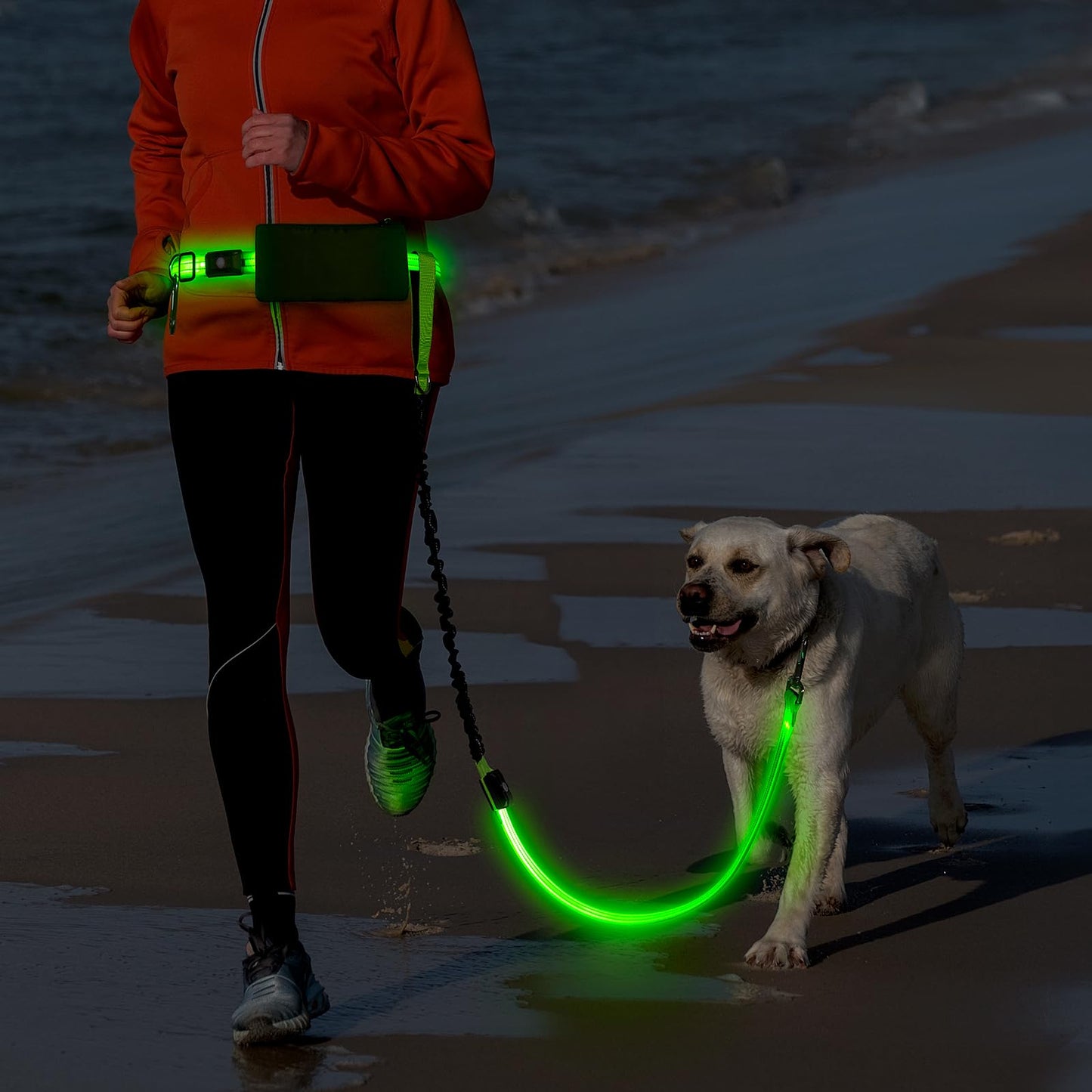 LED Hands Free Dog Leash, Waist Leash for Dog Walking, Retractable Bungee Light Up Dog Leash, LED Handless Dog Running Leash, Reflective Running Leash for Jogging Training Hiking (Green)