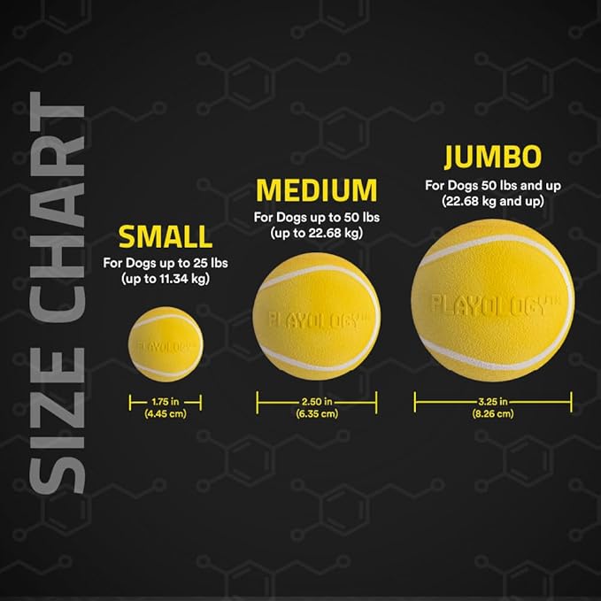 Playology Squeaky Dog Toy | Durable Rubber Interactive Dog Ball | Chicken Scented Fetch Ball for Medium Dogs, Value 2-Pack | Floating Dog Toy Made from Non Toxic Materials