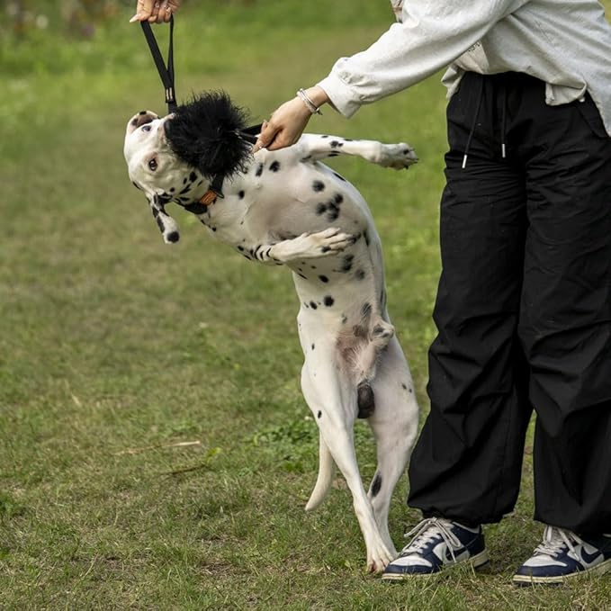HOWGO Dog Rope Toy - Double Handle Dog Bungee Chaser Toy 100% Sheepskin,Sheep Smell Tug Toy for All Breeds(Mountain Green, Large)