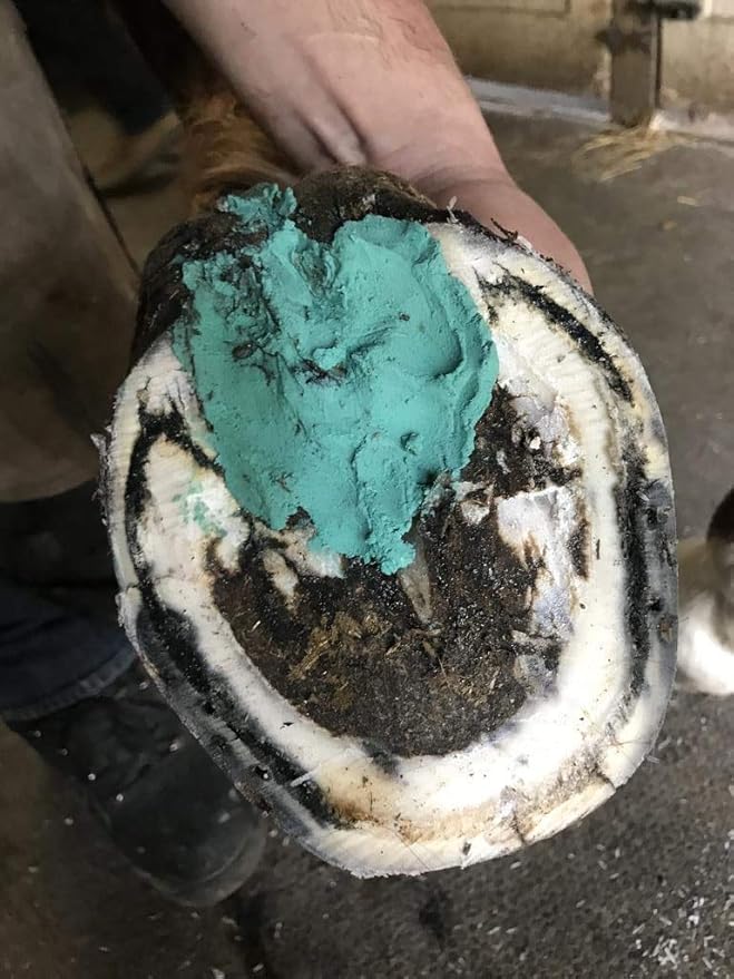 Horse Hoof Thrush Treatment Clay and White Line Equine Care: Effective on Horses, Cows, Goats, Sheep, Pigs and All Hooved Animals- 25 oz Jar New Heat Resistant Formula*