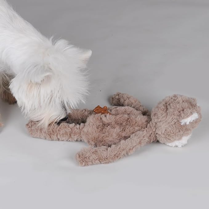 Stuffless Dog Toy, Plush Puppy Squeaky Toy with Bear Design for Foraging Snuggling Fetch Retrieve, No Stuffing Crinkle Snuffle Puzzle Chew Toy for Small Medium and Large Dogs