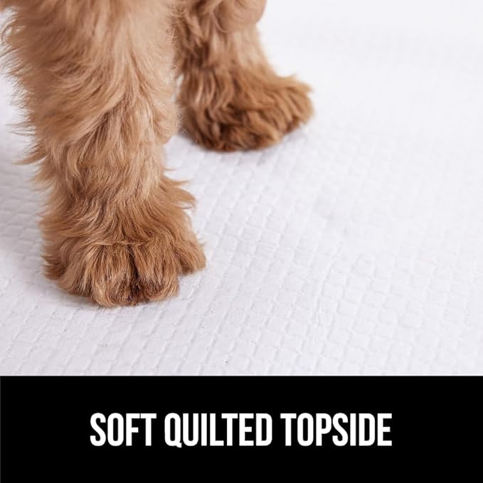 Gorilla Guard Disposable Puppy Pads, 100 Count 28x34 in, 5 Layer Pee Pads for Dogs, Absorbent Diaper Changing Pad, Dog Potty Training Supplies, Quick Dry Pet Housebreaking Essentials for Puppies