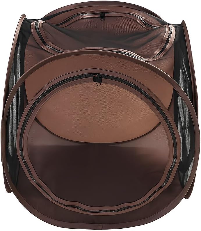 Chonky Cat Playground Set – Tunnel + Tent Combo for Maximum Zoomies