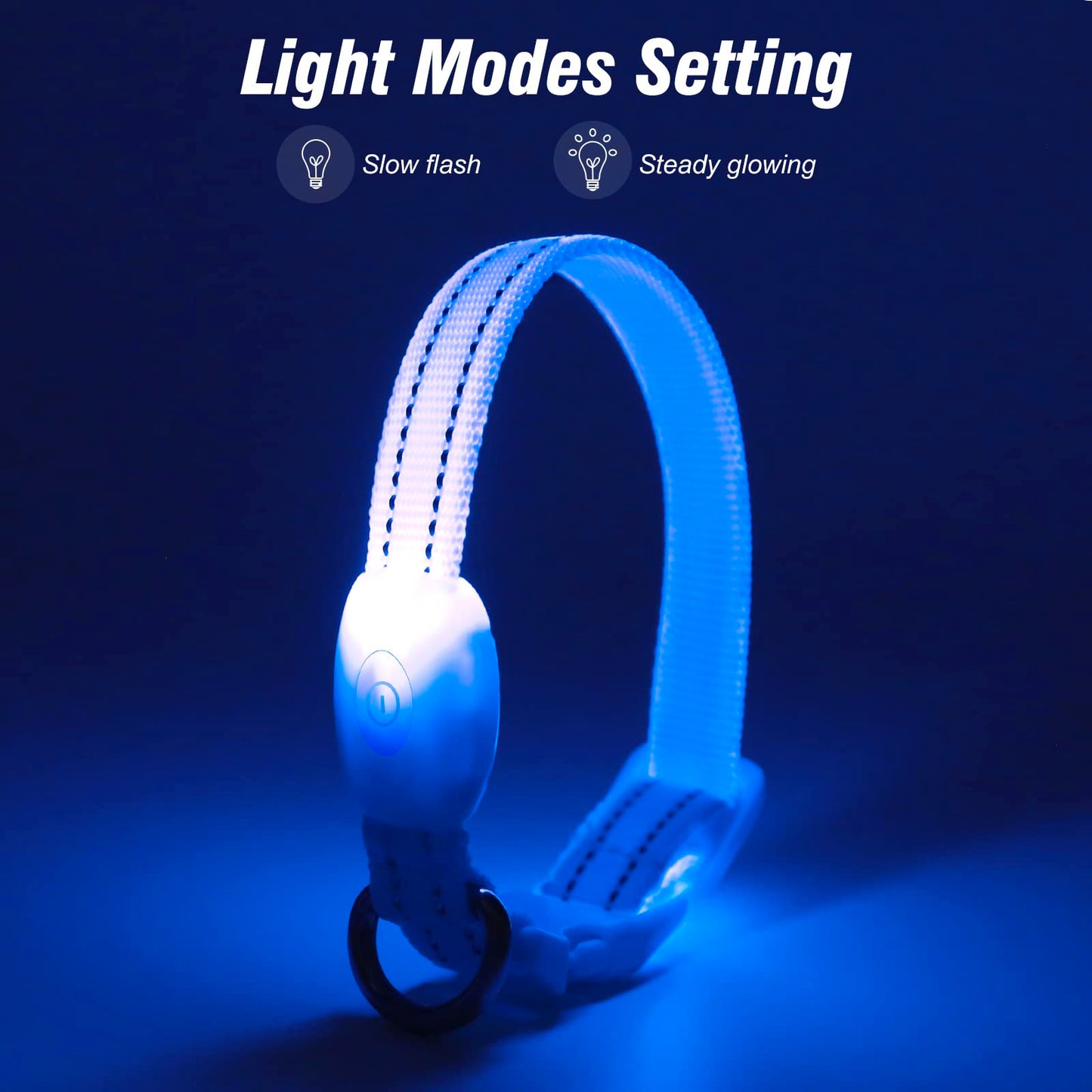 Visinite Light Up Dog Collars for Small Dogs,LED Dog Collar Light Rechargeable,Fully Adjustable Lighted Dog Collar,Glow in The Dark Dog Collars with Dog Lights for Night Walking,Blue