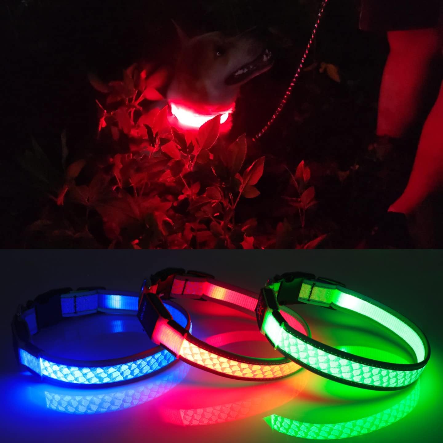 BiPawTi LED Dog Collar - Rechargeable, 3 Light Modes, Glow in The Dark for Night Walking, Large Dogs (Pink, L)