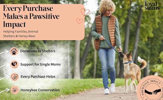 Freeze Dried Raw Dog Food - Premium Turkey and Salmon Flavor with High Protein and Grain Free Dog Food for All Breeds and Picky Eaters - Versatile as Meal Topper, Snack, and Treats, 14 Oz