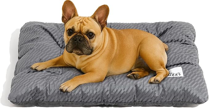 FUNNY FUZZY 30x20 Washable Dog Bed Crate Mat, 2 in1 Pet Pillow Sleeping Bed, Fluffy Deluxe Kennel Mattress for Medium Dog and Cat,Charcoal Grey,M