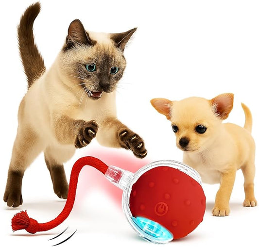 2025 New Interactive Pet Toy Ball for Indoor Cats & Small Dogs – Motion-Activated Automatic Rolling Ball with Chirping Sounds, Elastic Tail, Smart Rechargeable Toy to Keep Pets Active.