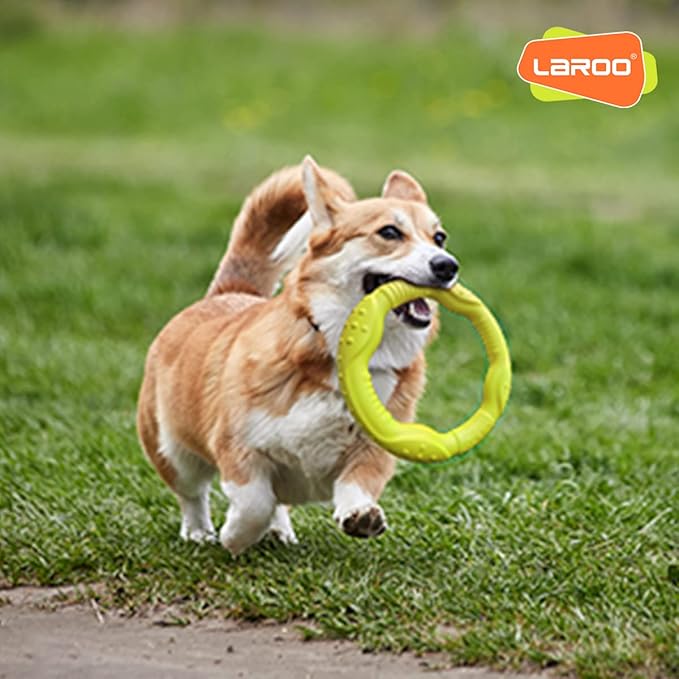 LaRoo Dog Flying Ring Toys, Floating Flying Dog Disc Toys, Summer Pet Training Outdoor Durable Chew Toys for Medium and Large Dogs (Medium Green/22cm)