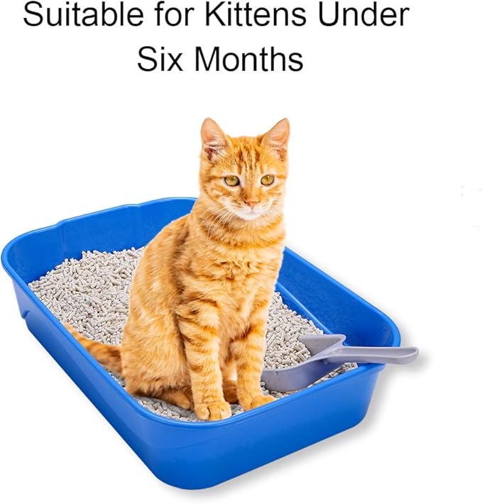 Kitty Litter Box Starter Kit - Small Cat Litter Pan Without Lid, Litter Mat, Scoop and Bowl for Kitten Within 3 Months (GreyScoop)