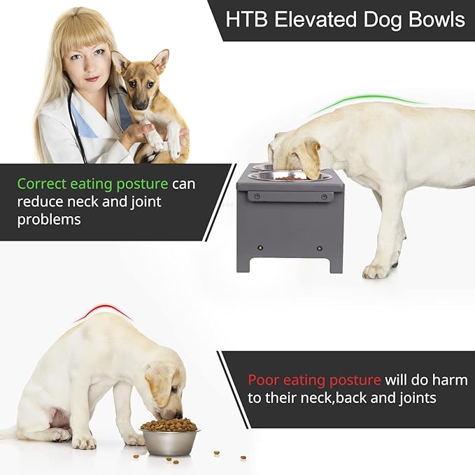 HTB Elevated Dog Bowls, Raised Dog’s Food Stand with 2 Stainless Steel Bowls, Elevated Raised Dog Dishes for Large Medium Small Sized Pet Sturdy Bamboo Food Feeder Natural
