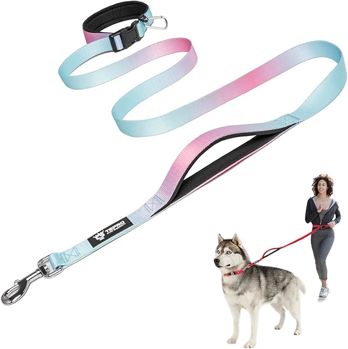 TSPRO Hands Free Dog Leash for Medium to Large Dogs, Adjustable Durable Leash with Comfortable Safety Padded Handle, Heavy Duty Metal Clasp for Walking, Running, Training (Blue - Pink Gradient)