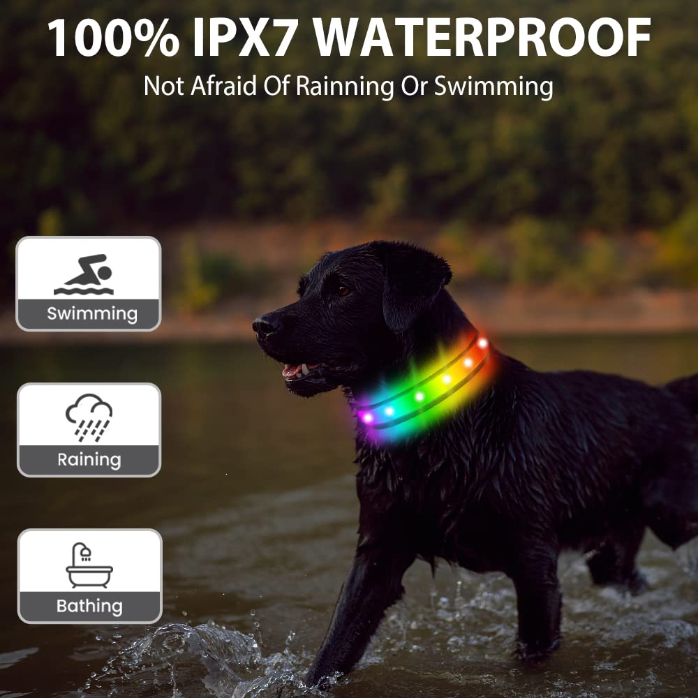 TRIPOLACO LED Dog Collar, Multicolor Light Up Dog Collar, USB Rechargeable & High-Visibility Glow in The Dark Dog Collars for Night Walks, IPX7 Waterproof, Large