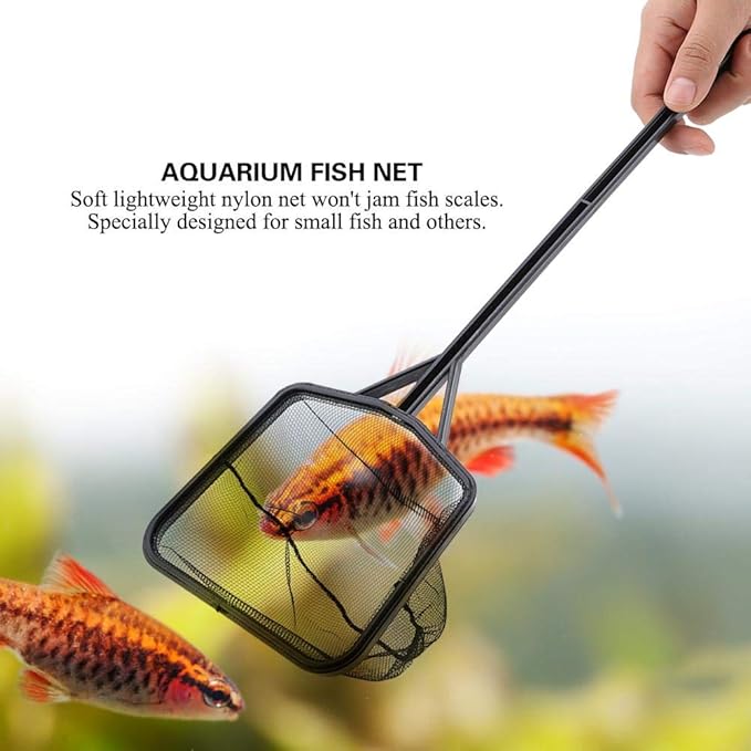 FTVOGUE Fishing Net Lightweight Nylon Net and Anti-Slip Handle for Aquarium Fish (M)