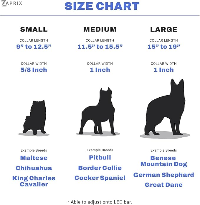 LED Dog Collar with Tracker Case - Bright Weatherproof Light Up Safety Collar, Silicone Tracker Holder, USB-C Rechargeable & Adjustable for Small, Medium & Large Dogs (Multicolor, Medium)