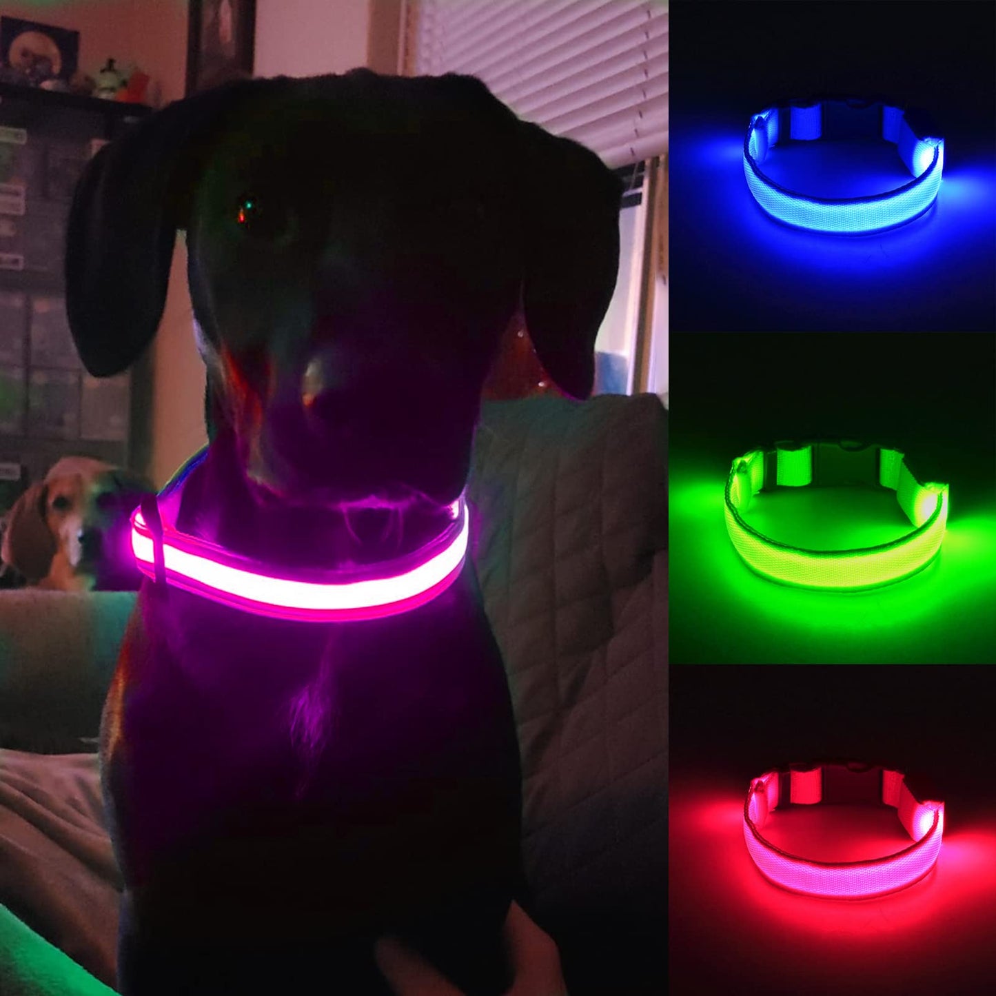 Omni Soulmate LED Dog Collar - Light Up Collars for Night, Personalized, Small & Large Dogs
