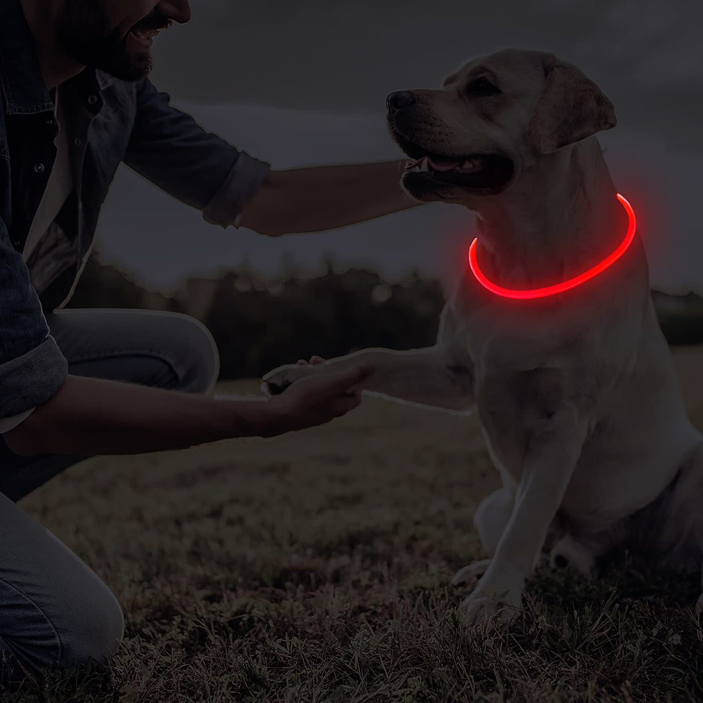 Frienda 4 Pcs Dog Collar LED USB Rechargeable Lights Dog Necklace Collars Doggy Lights for Night Walking Adjustable Safety Lamp Pet Collars for Large Medium Small Puppy(Classic Style,4 Colors)