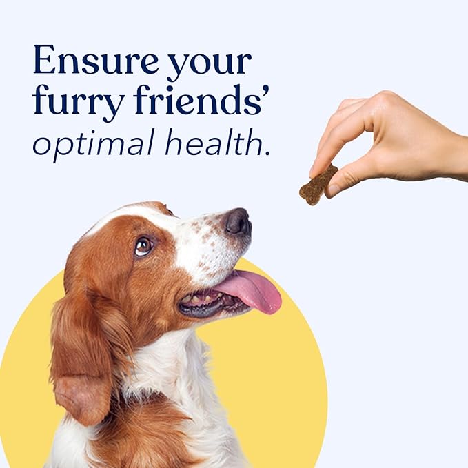 Honest Paws (90 Count) Dog Multivitamin Soft Chews with 10 Essential Vitamins - Joint, Coat, Immune, Eye & Heart Support - with Glucosamine, Chondroitin & Omega-3 - Beef Flavor