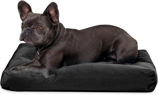 K9 Ballistics Tough Rectangle Pillow Medium Dog Bed - Removable Cover, Washable, Durable & Water Resistant Dog Bed Made for Small Dogs 24"x18" Obsidian Black