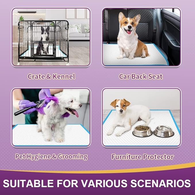 IMMCUTE Extra Large Dog Pee Pads 36"x36"-30 Count | XX-Large Puppy Pee Training Pads Super Absorbent & Leak-Proof | Disposable Pet Piddle and Potty Pads for Puppies | Dogs | Doggie| Cats | Rabbits