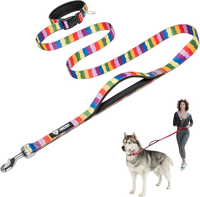 TSPRO Hands Free Dog Leash for Medium to Large Dogs, Adjustable Durable Leash with Comfortable Safety Padded Handle, Heavy Duty Metal Clasp for Walking, Running, Training (Multicolor)