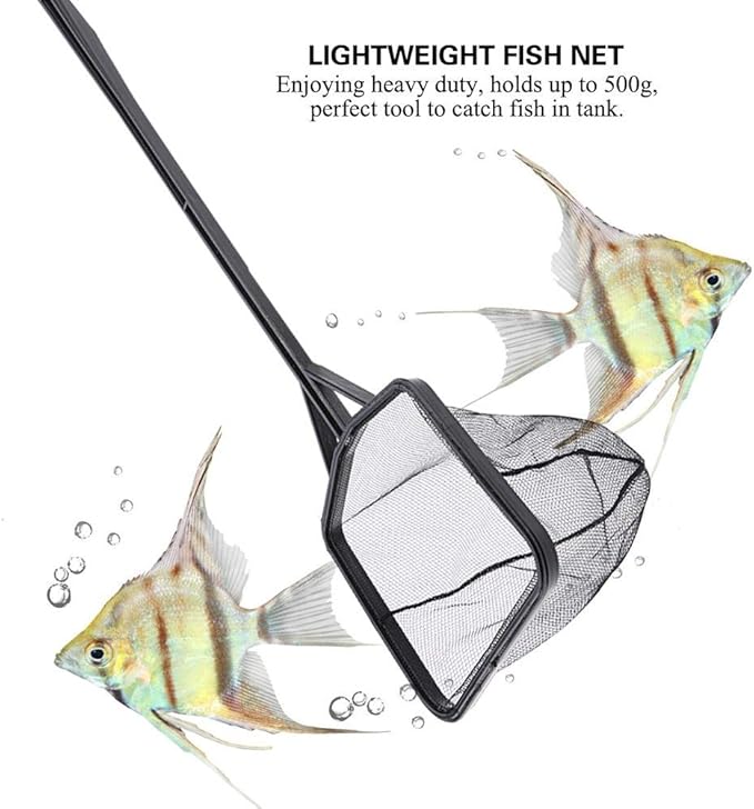 FTVOGUE Fishing Net Lightweight Nylon Net and Anti-Slip Handle for Aquarium Fish (M)
