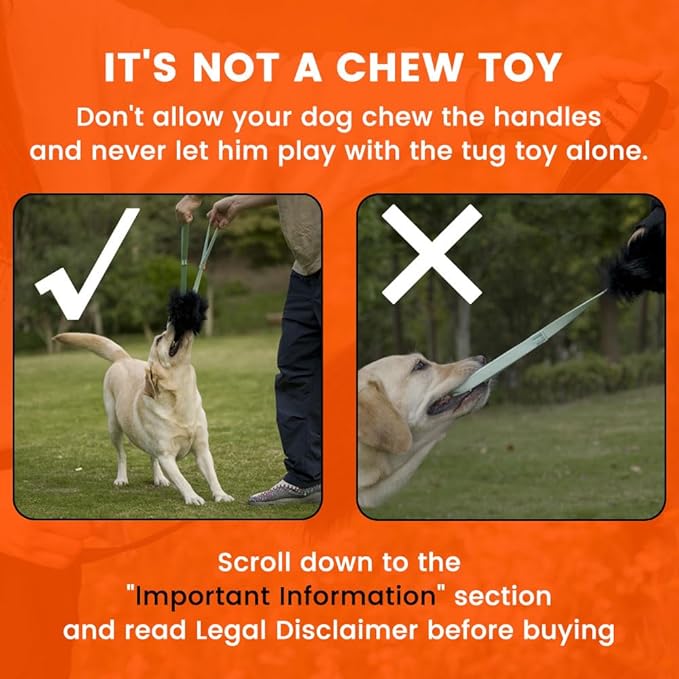 HOWGO Dog Rope Toy - Double Handle Dog Bungee Chaser Toy 100% Sheepskin,Sheep Smell Tug Toy for All Breeds(Mint Green, Large)