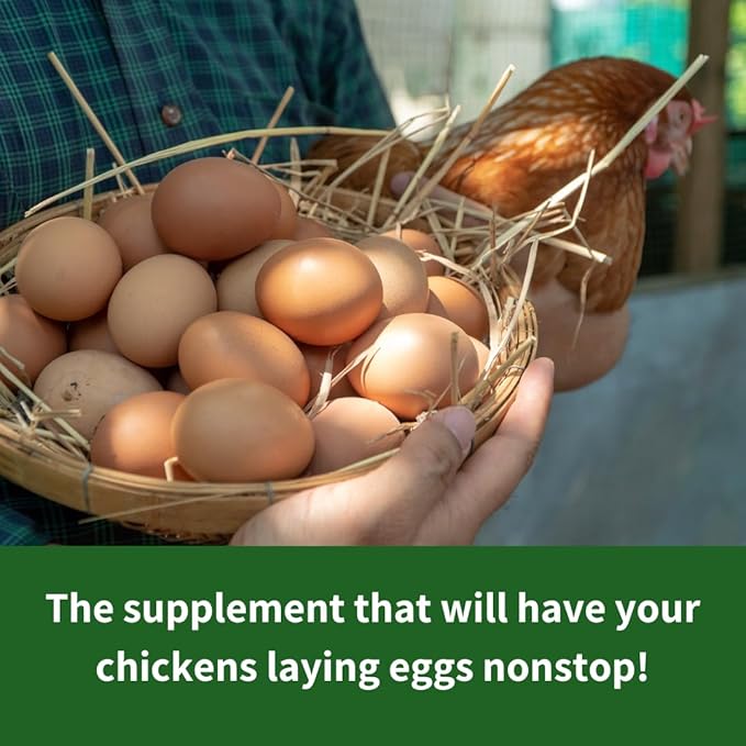 GrubTerra Golden Dried Black Soldier Fly Larvae - Premium Supplement to Increase Egg Production for Hen Treats, Bird Feed, Chicken Feeder, Pet Bird Food, and Wildbird Feed, Never from China! (2lb)